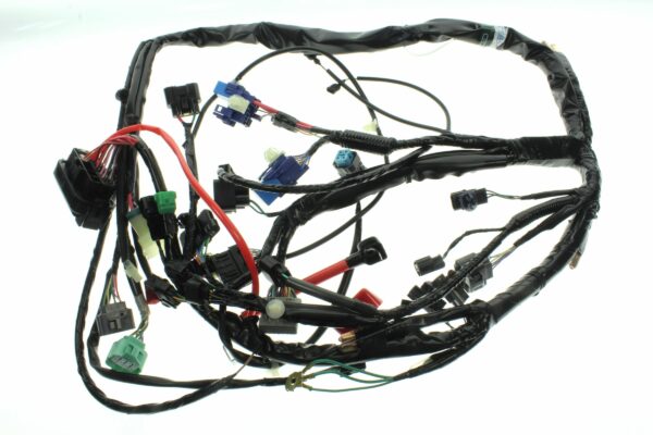 Wiring Loom - Main - FM - P/S - 2015-2019